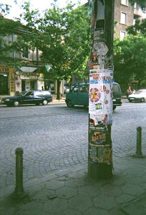 sofia_3 (107)